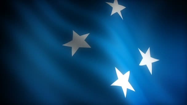 Flagge Mikronesiens Nahtlos — Stockvideo