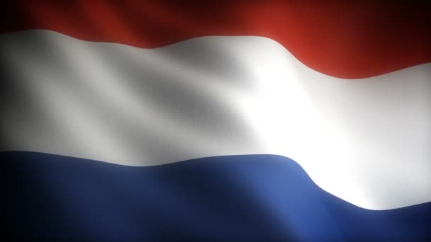 Zászló Luxembourg Zökkenőmentes — Stock videók