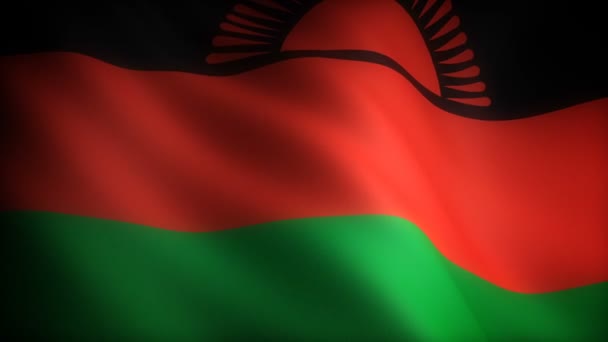 Flagge Von Malawi Nahtlos — Stockvideo