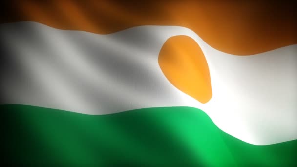 Bendera Niger Tak Berjahit — Stok Video