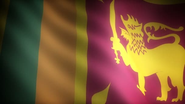 Drapeau Sri Lanka Sans Soudure — Video