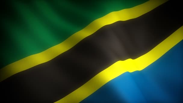 坦桑尼亚国旗 — 图库视频影像