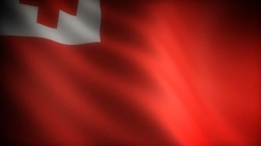 Tonga Bayrağı (kusursuz))
