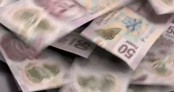 Pesos Mexicanos Caindo Fundo Colorido — Vídeo de Stock