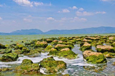 Kunming, Yunnan'da göl kenarındaki kayaların görünümü