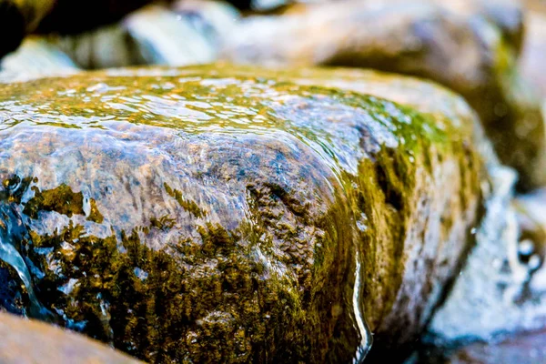 Fresh water flow through the stone on morning time