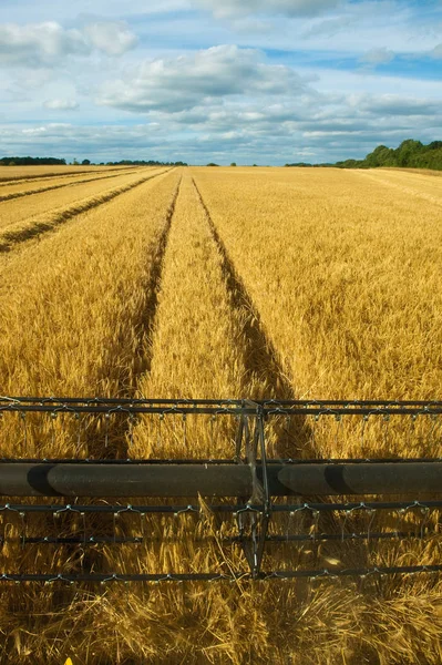 フィールドに コンバインハーベ スター小麦を収穫 ブレードに焦点を当てる — ストック写真