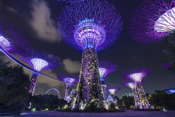Purpurfarbener Superbaumhain Bei Nacht Singapore Südostasien — Stockfoto