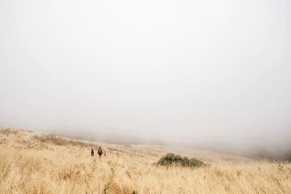 Madre Hijos Caminando Campo Brumoso Fairfax California Estados Unidos América —  Fotos de Stock