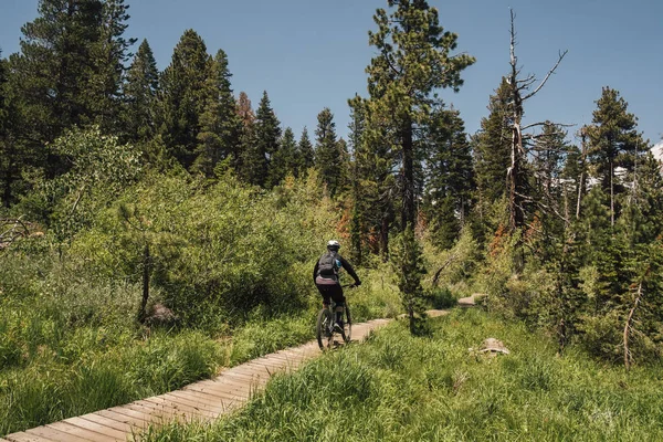 Человек Велосипеде Тропинке Через Лес Мамонт Лейкс Калифорния Сша Северная — стоковое фото