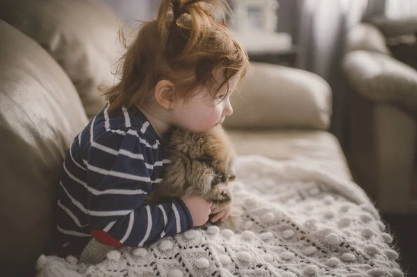 Young Girl Sitting Sofa Hugging Pet Dog — Stock Photo, Image