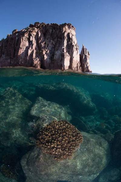 Isla Espiritu Santo Paz Baja California Sur México — Fotografia de Stock