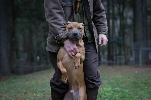 Mann Und Hund Stehen Auf Hinterbeinen — Stockfoto