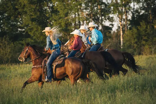 Group People Riding Horses Field — Stock Photo, Image