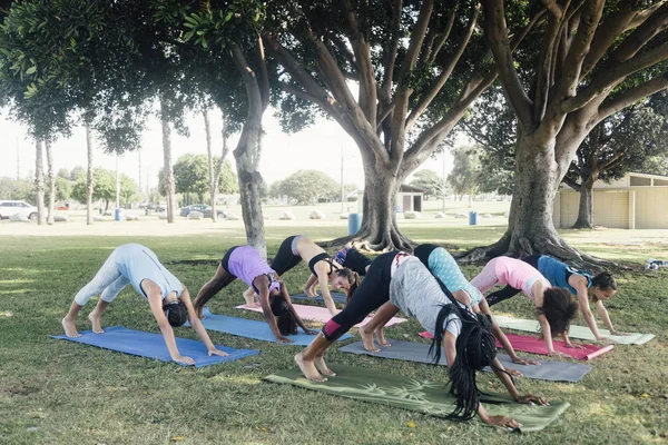 Las Colegialas Que Practican Yoga Hacia Abajo Posan Frente Perro — Foto de Stock