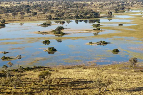 Bela Vista Aérea Delta Okavango Botsuana — Fotografia de Stock