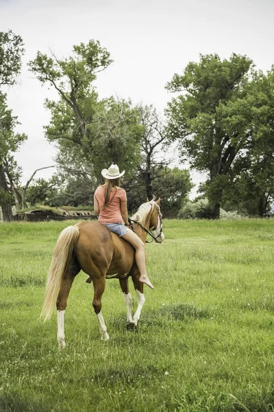 Jovem Mulher Montando Cavalo Visão Traseira — Fotografia de Stock