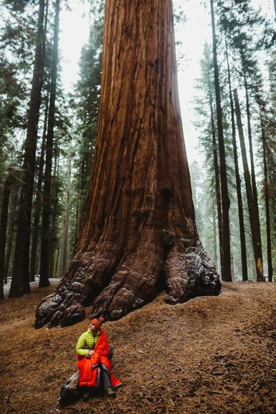 米国カリフォルニア州セコイア国立公園で赤い寝袋に包まれた男性 — ストック写真