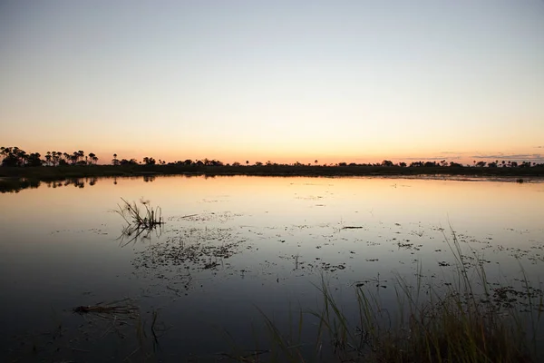 Günbatımı Okavango Delta Botsvana Afrika — Stok fotoğraf