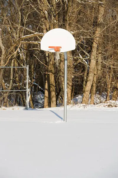 Kosárlabda Hoop Hóban New York City Amerikai Egyesült Államok — Stock Fotó