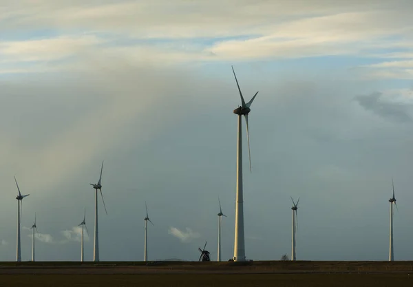 Modern Wind Turbines Lone Traditional Windmill Delfzijl Groningen Netherlands — Stock Photo, Image