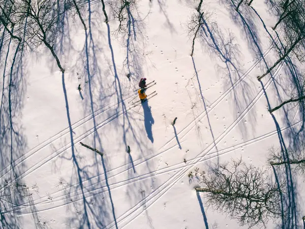 Высокий Угол Обзора Заснеженных Пейзажей Лыжников Vasterbottens Lan Швеция — стоковое фото
