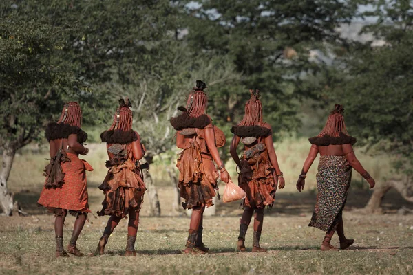 Grupo Mulheres Himba Afastar Vista Traseira Namíbia África — Fotografia de Stock