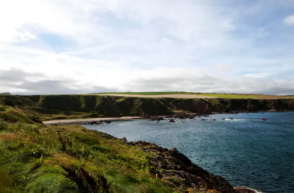 Acantilados Costa Flamborough Head Reino Unido — Foto de Stock