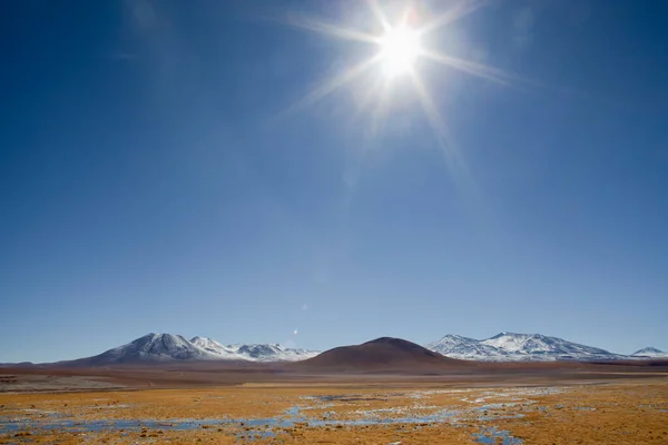 Altiplano Hochebene San Pedro Atacama Antofagasta Chile — Stockfoto