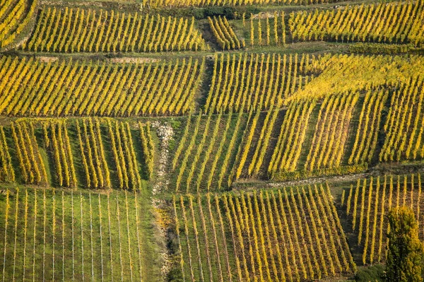 Luftaufnahme Der Weinberge Der Route Des Vins Alsace Frankreich — Stockfoto