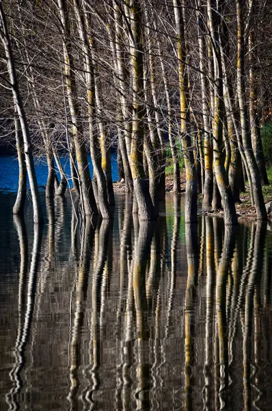 Gusana Lake Gavoi Sardinia Italy — Stock Photo, Image