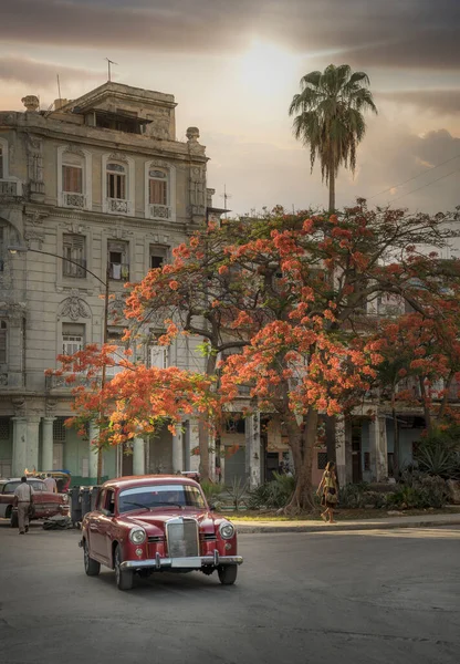 Voiture Vintage Rouge Dans Old Havana Street Havana Cuba — Photo