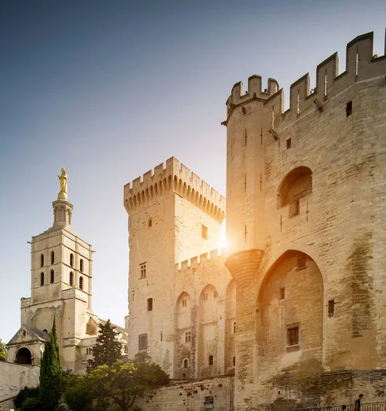 Palace Popes Cathedral Avignon Provence France — Stock Photo, Image