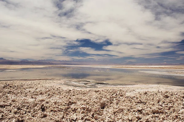 Salar Atacama Chile Állam — Stock Fotó