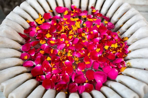 ピンク色のバラの花びらのボウル ウダイプール ラジャスタン州 インド — ストック写真