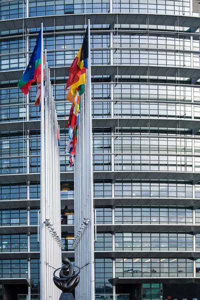 Drapeaux Des États Membres Parlement Européen Arrière Plan Stras — Photo