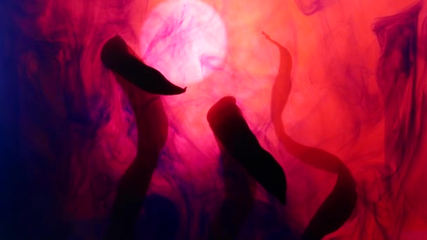 Black clubs cloud the whole panorama, sunset cevilization, aggressive background, clubs of paint envelop dry plants water, anxiety, another galaxy, black clubs, sunset cevilization, fanciful plants like worm, shone in background, purple mood — Stock Footage Black Clubs Cloud Whole Panorama Sunset Cevilization Aggressive Background Clubs Stock Footage