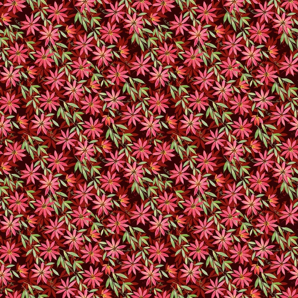 Wzór Akwarela Ilustracja Kręcone Czerwonych Kwiatów Powojnika Burgund Ciemnym Czerwonym — Zdjęcie stockowe