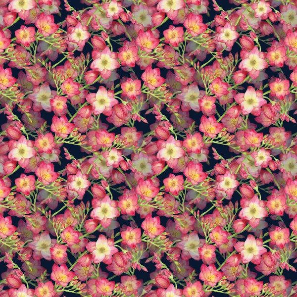 Červené Siluety Květy Frézie Krásnou Kytici Větev Růžovém Pozadí Vzor — Stock fotografie