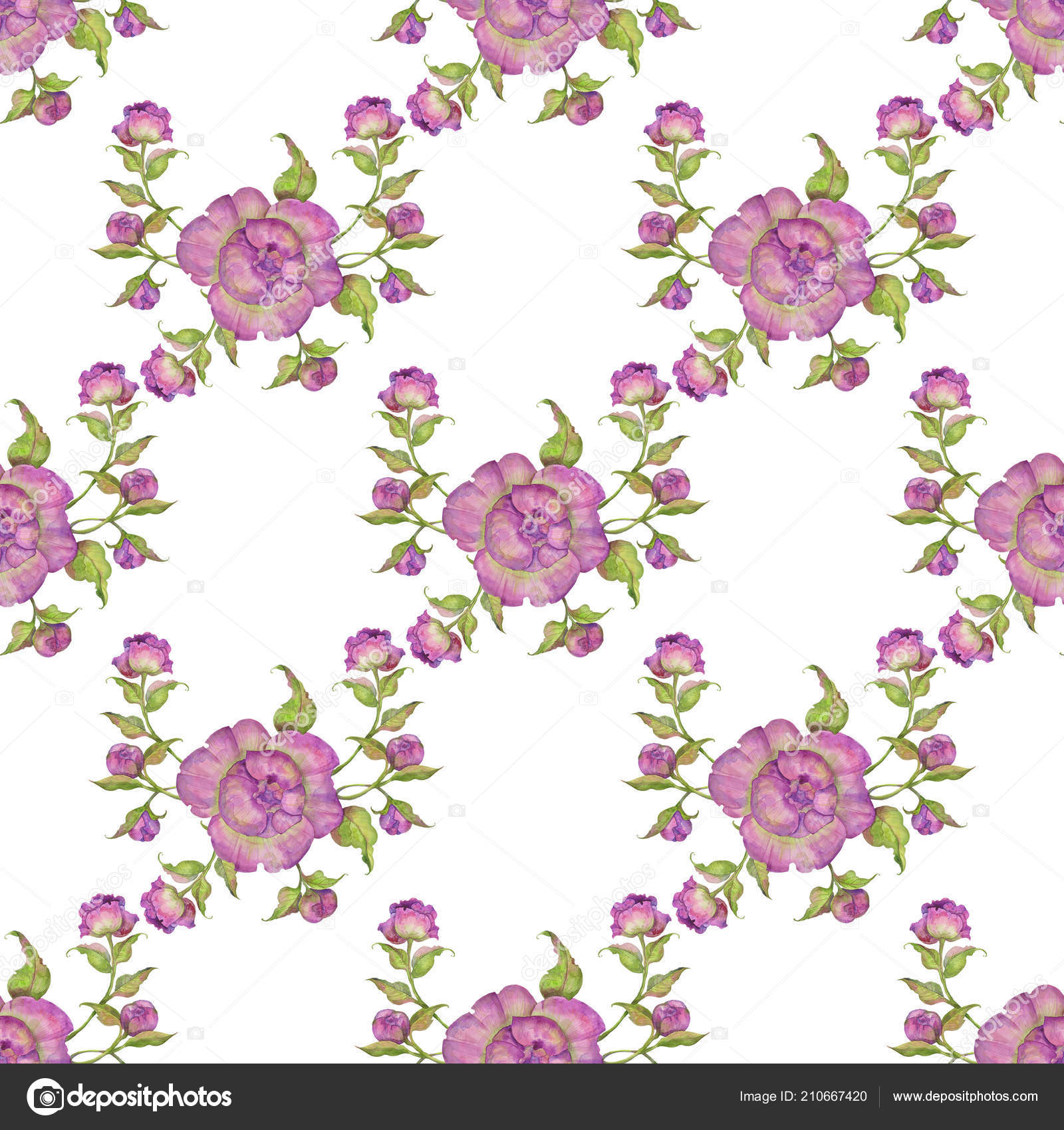 Bukiet Kwiatów Fioletowy Piwonie Wzór Akwarela Ilustracja