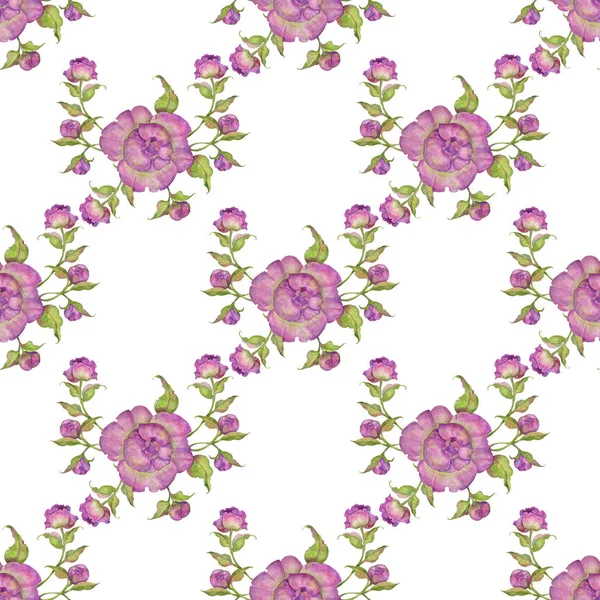 紫の牡丹をシームレスなパターン 水彩イラストの花の花束 ピンクとライラック色 テキスタイル 包装紙 リネン インテリアテキ スタイルの図面の印刷 — ストック写真