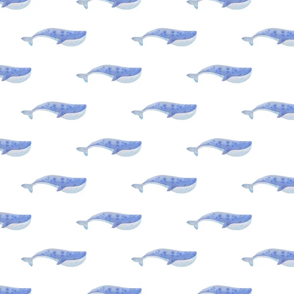 Illustration Motif Aquarelle Rorqual Bleu Mignon Doux — Photo