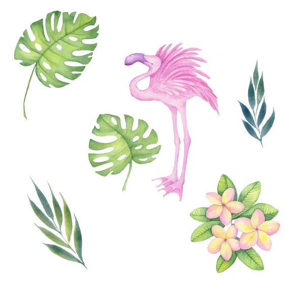 Akvarelu Ilustrace Tropické Sada Růžové Plumeria Tropické Květiny Listy Zelené — Stock fotografie