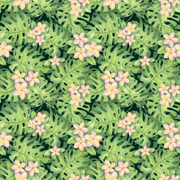 プルメリア 熱帯パターンの水彩イラストは葉モンステラのパターンです ハワイアン スタイルの図面 — ストック写真