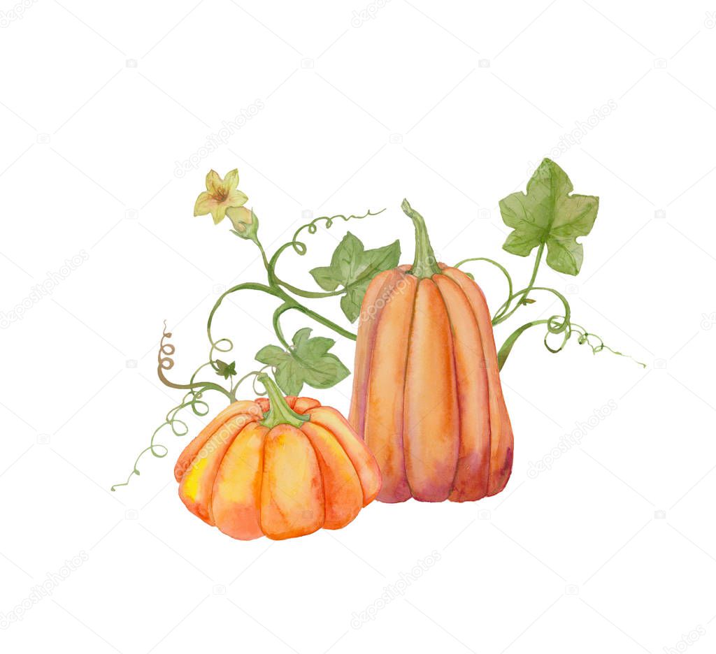 Orange pumpkins, Halloween, watercolor illustration, fruits and leaves. Drawing for printing on fabric, textile design, wallpaper, wrapping paper, linens, interior textiles