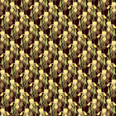 Sarı süsen çiçekleri kırmızı arka planda pürüzsüz desen, suluboya çizim çiçekleri. 