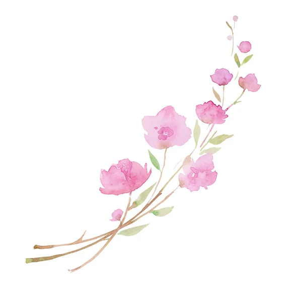 Cherry Blossom, Sakura. schets schilderij. Tak met roze bloemen, aquarel illustratie — Stockfoto