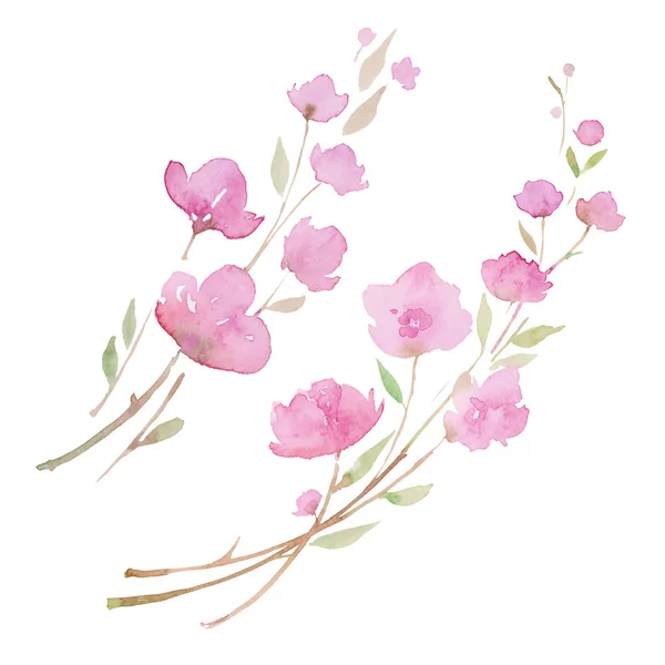 Kwiat wiśniowy, zestaw Sakura. Malowanie szkicu. Dwie gałęzie z różowymi kwiatami, ilustracją akwareli — Zdjęcie stockowe