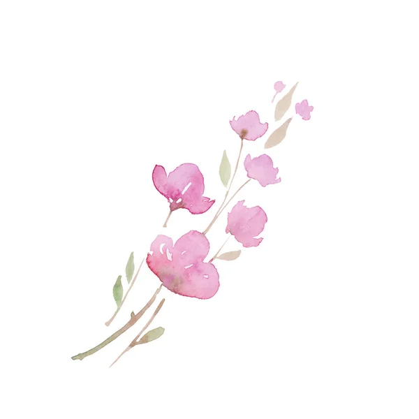 Cherry Blossom, Sakura. schets schilderij. Tak met roze bloemen, aquarel illustratie — Stockfoto