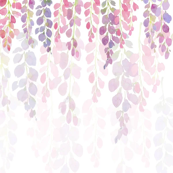 보라색과 분홍색 등나무 꽃, 흰색 배경에 수채화 손 그림, — 스톡 사진